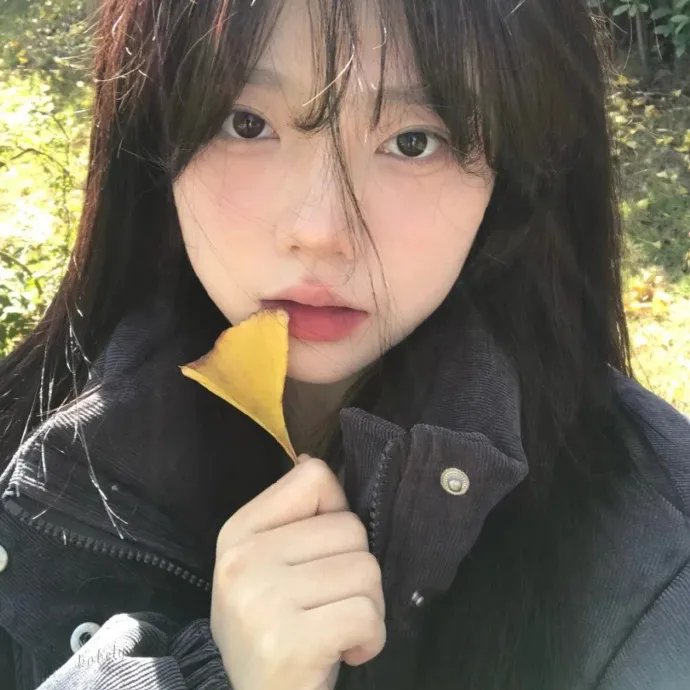 圣诞树2：迟到的情书