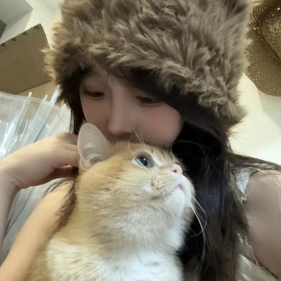 寻找爱的冒险